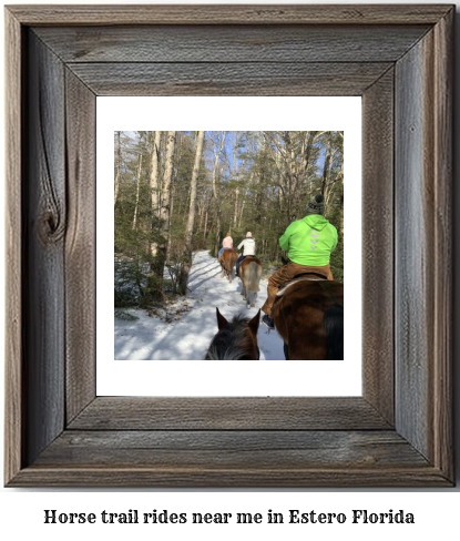 horse trail rides near me in Estero, Florida